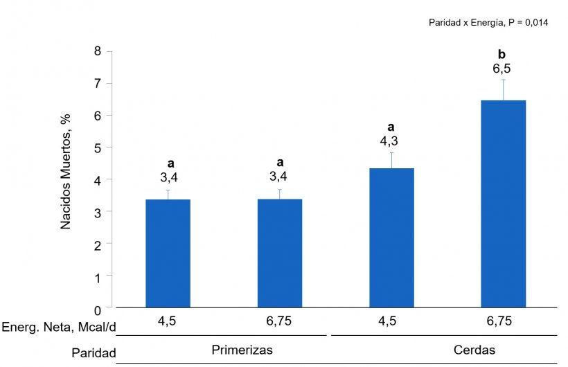 Figura 2. Efectos de la alimentaci&oacute;n con diferentes niveles&nbsp;de&nbsp; energ&iacute;a suministrados del d&iacute;a 90 al 111 de gestaci&oacute;n en la tasa de nacido muertos&nbsp;de primerizas&nbsp;y cerdas. Las medias con un super&iacute;ndice diferente dentro del nivel de paridad son&nbsp;diferentes&nbsp;(P &lt;0,05).
